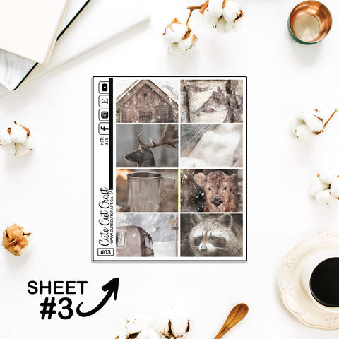 Winter Solitude #375 || Full Boxes