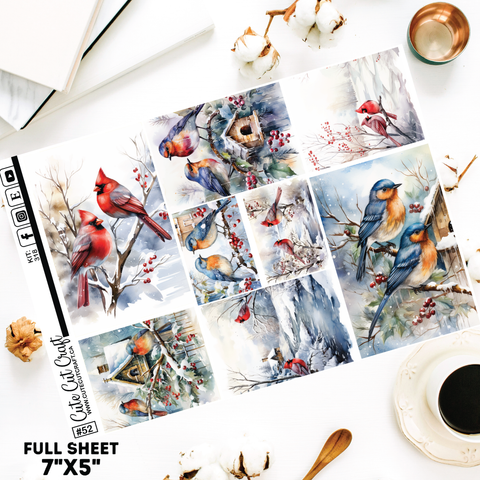 Winter Birds #318 || Full Boxes