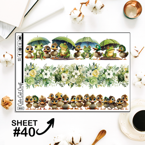 Water Buddies #342 || CHP Dashboard Weekly & Monthly