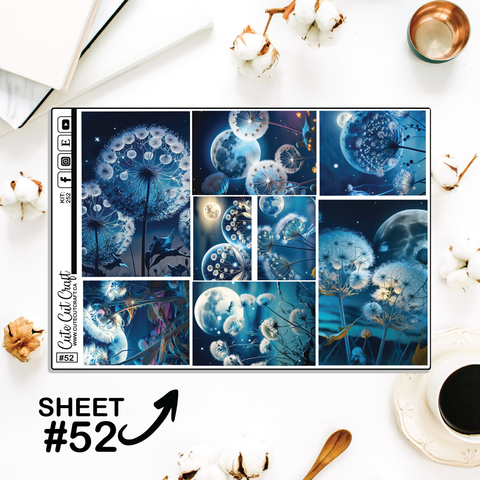 Moonlight Dandy #252 || Full Boxes