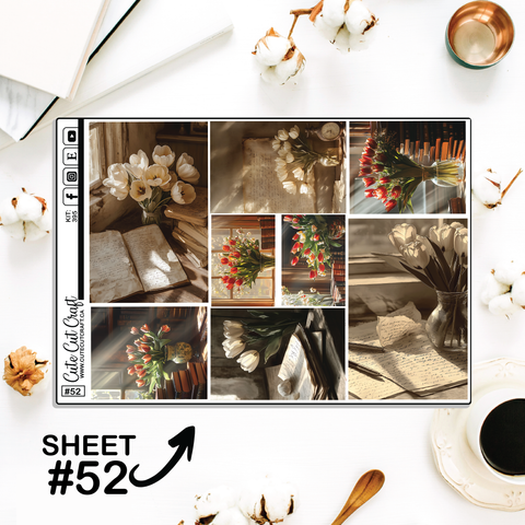 Vintage Tulip #395 || Full Boxes