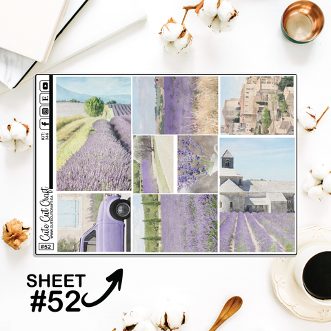 Lavender Fields #346 || Full Boxes