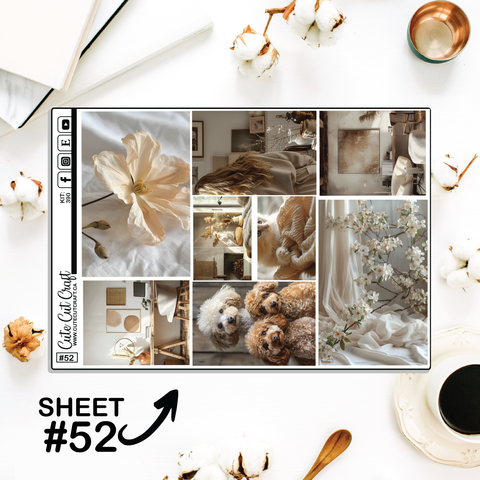 Home Getaway #390 || Full Boxes