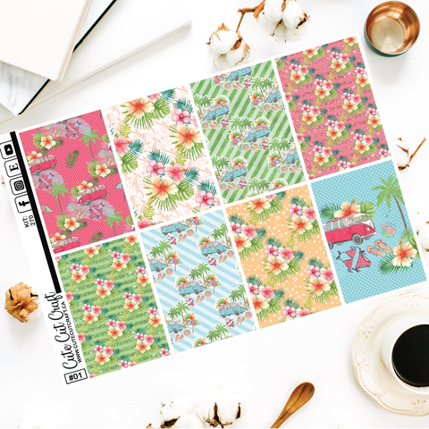 Beach Ride #270 || EC/HP Full Boxes