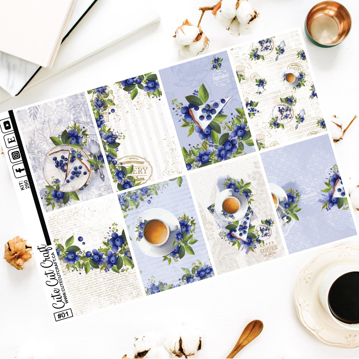 Blueberry #290 || EC/HP Full Boxes