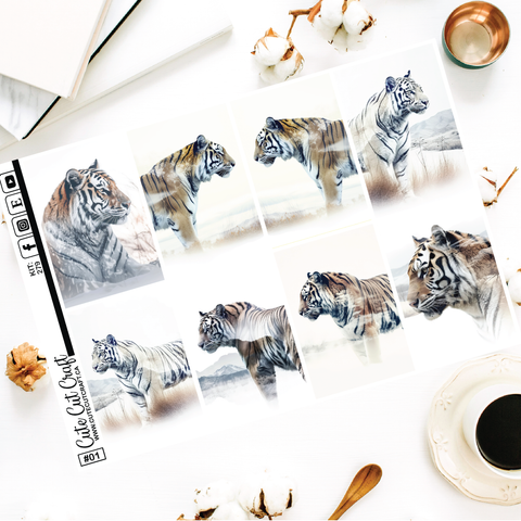 White Tiger #279 || EC/HP Full Boxes