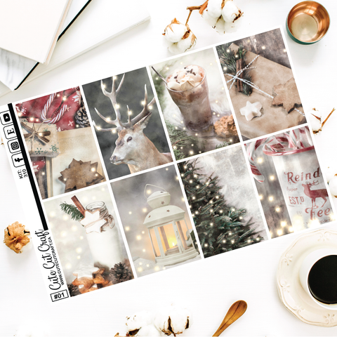 Winter Lights #310 || EC/HP Full Boxes