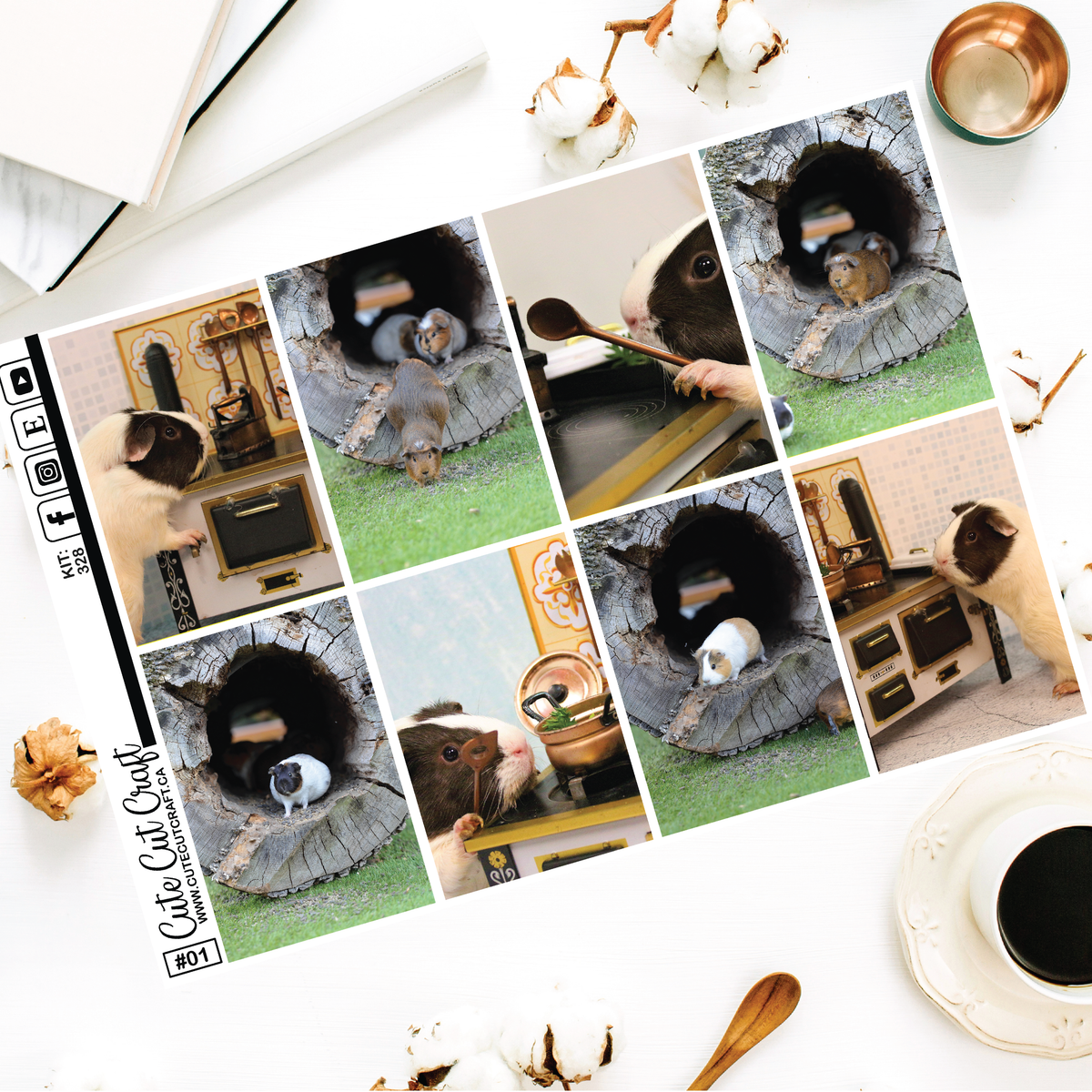 Guinea Pigs #328 || Full Boxes