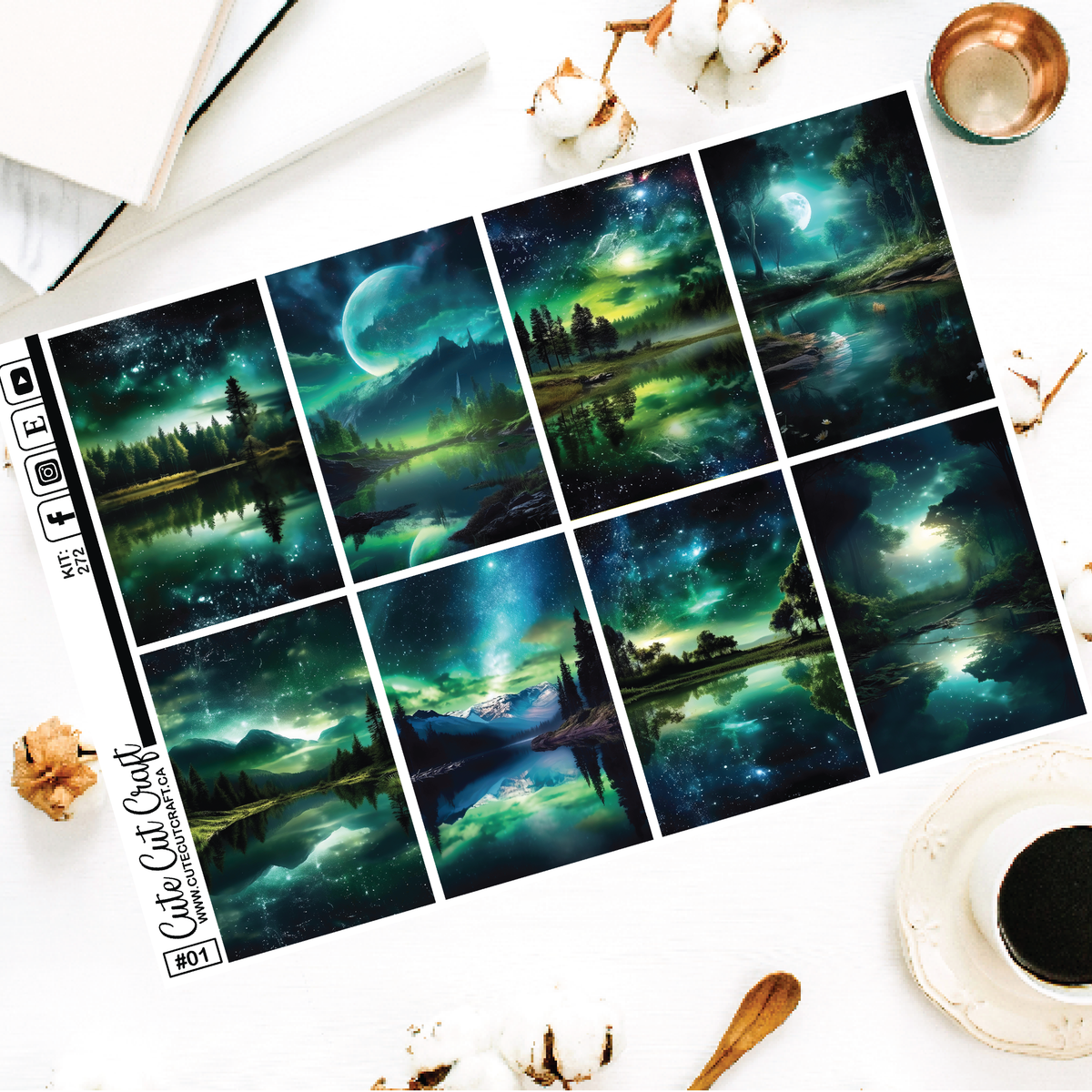 Night Nature #272 || EC/HP Full Boxes