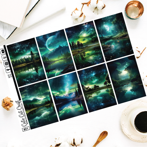 Night Nature #272 || EC/HP Full Boxes