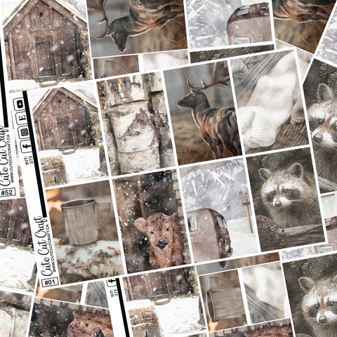 Winter Solitude #375 || Full Boxes