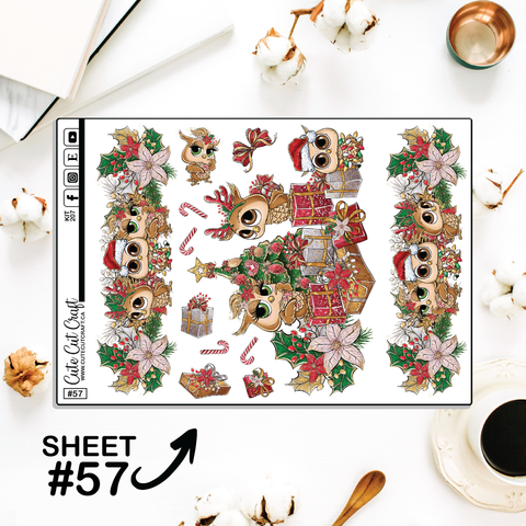 Owlmas #207 || CHP Dashboard Weekly & Monthly