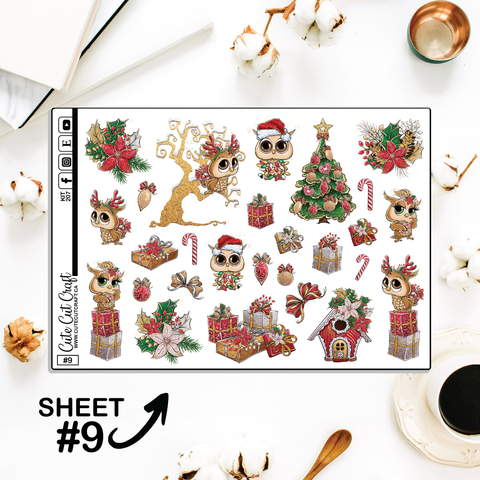 Owlmas #207 || CHP Dashboard Weekly & Monthly