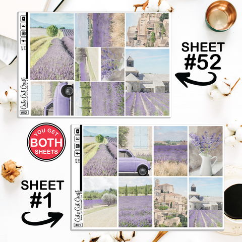 Lavender Fields #346 || Classic HP Weekly & Monthly