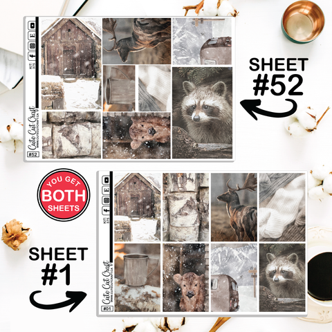 Winter Solitude #375 || Classic HP Weekly & Monthly