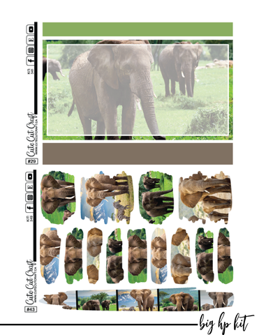 Elephant Expedition #349 || Complete Collection [PRINTABLE]