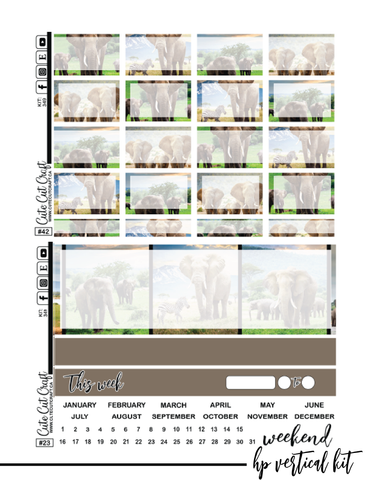 Elephant Expedition #349 || Complete Collection [PRINTABLE]