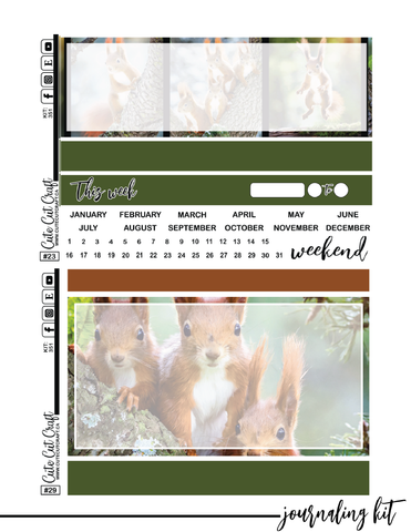 Magic Squirrel #351 || Journaling Kit [PRINTABLE]