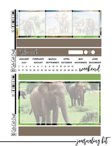 Elephant Expedition #349 || Complete Collection [PRINTABLE]
