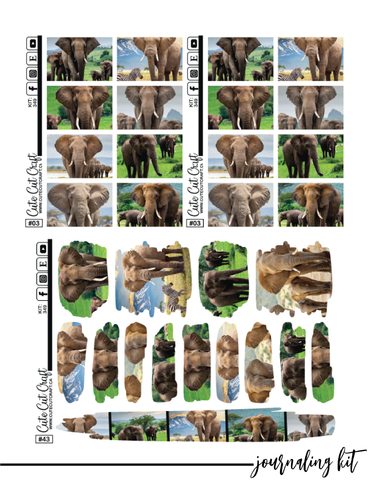 Elephant Expedition #349 || Complete Collection [PRINTABLE]