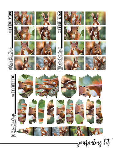 Magic Squirrel #351 || Journaling Kit [PRINTABLE]