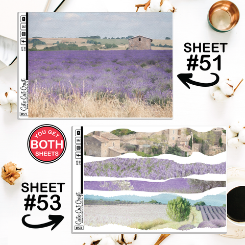 Lavender Fields #346 || Journaling Sheets