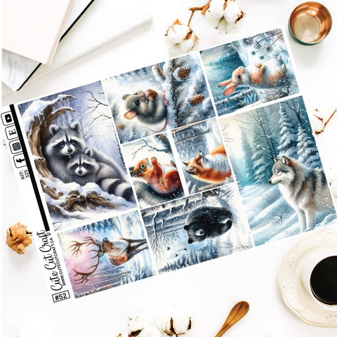 Winter Forest #325 || Full Boxes