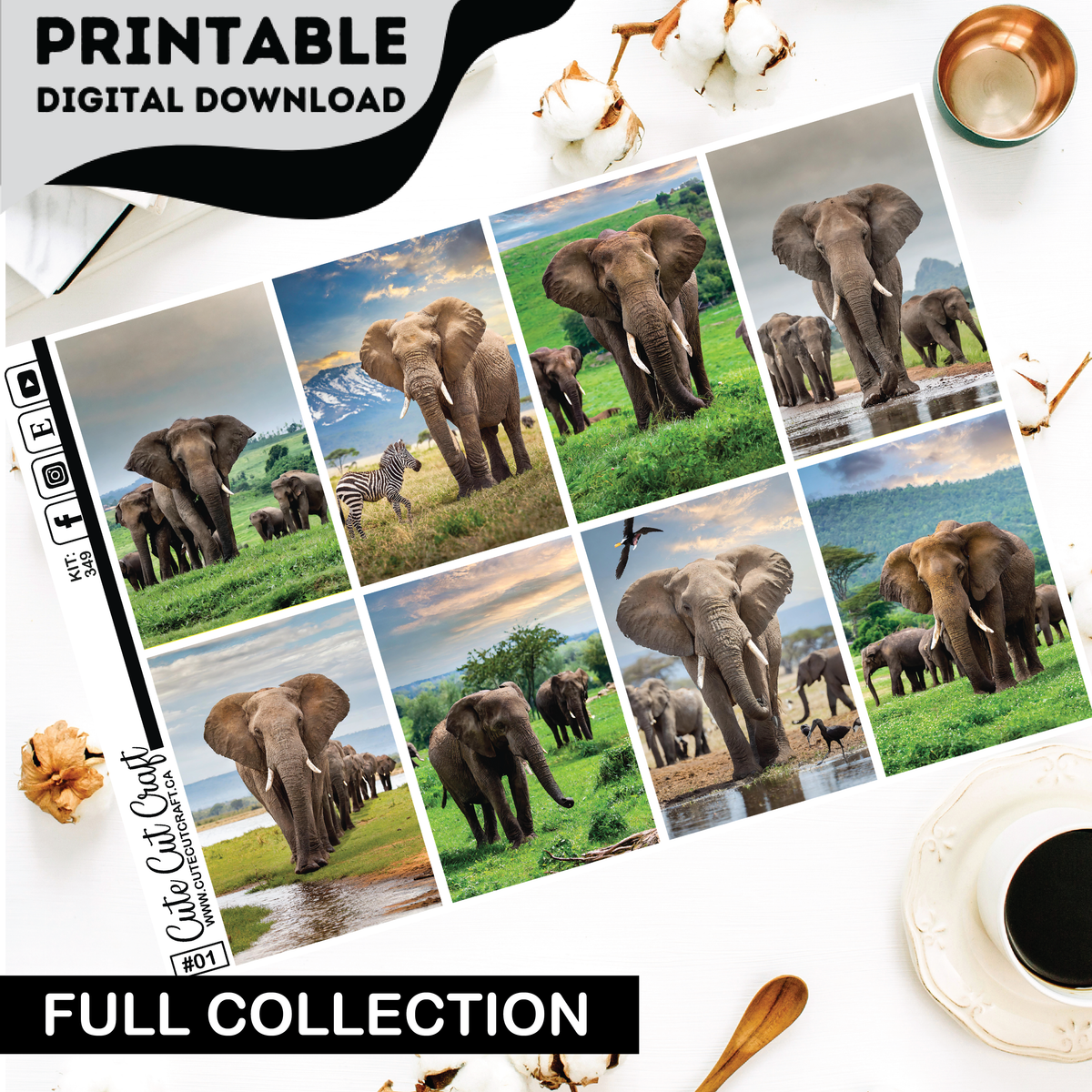 Elephant Expedition #349 || Complete Collection [PRINTABLE]