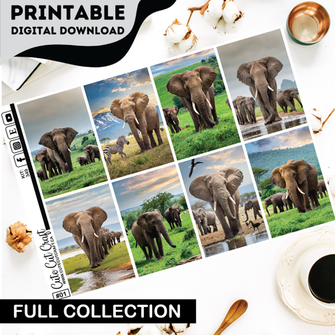 Elephant Expedition #349 || Complete Collection [PRINTABLE]