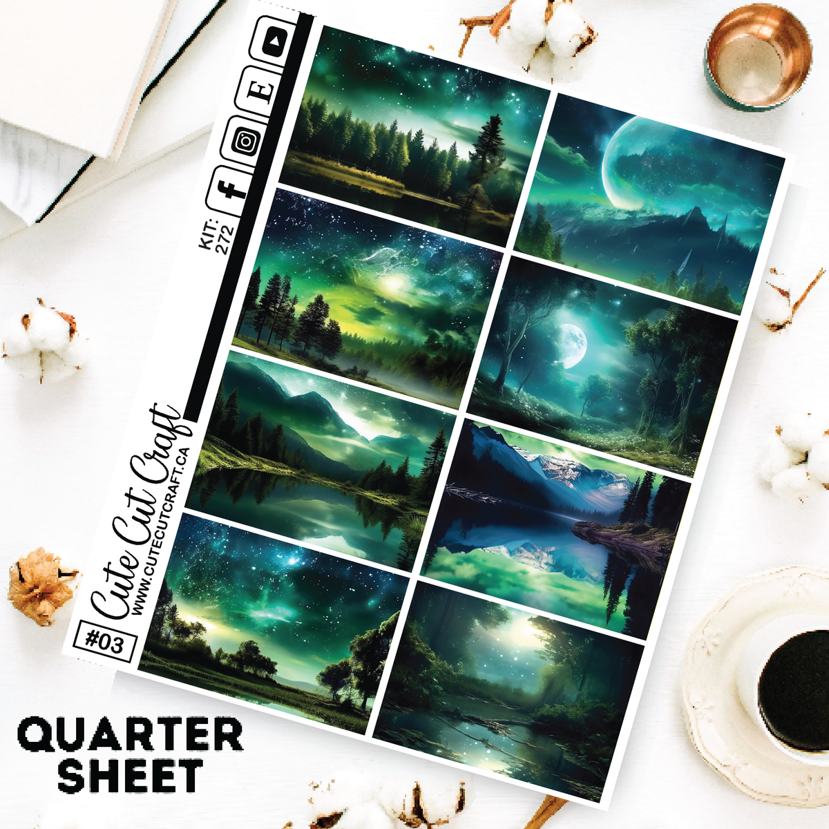 Night Nature #272 || Short Boxes