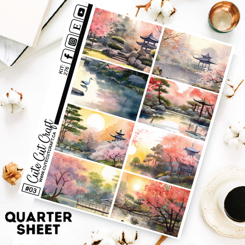 Zen Garden #276 || Short Boxes