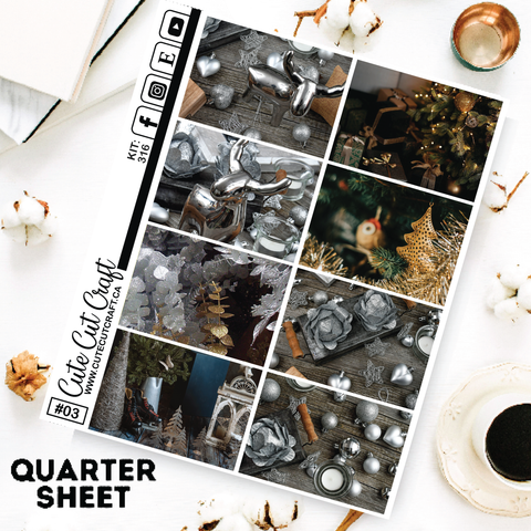 Silver Christmas #316 || Short Boxes