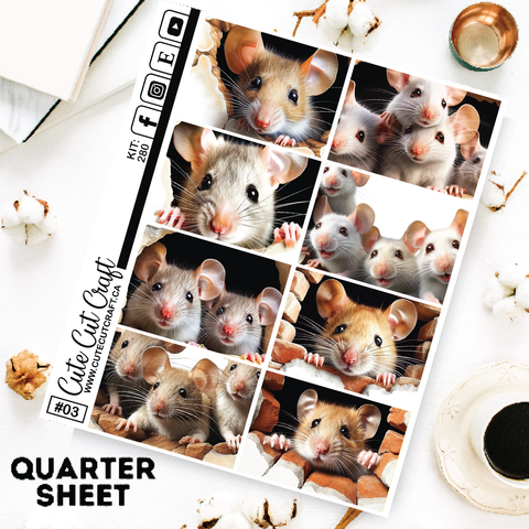 Happy Mice #280 || Short Boxes