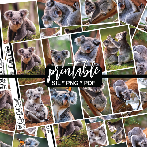 Cute Koala #368 || Complete Collection [PRINTABLE]