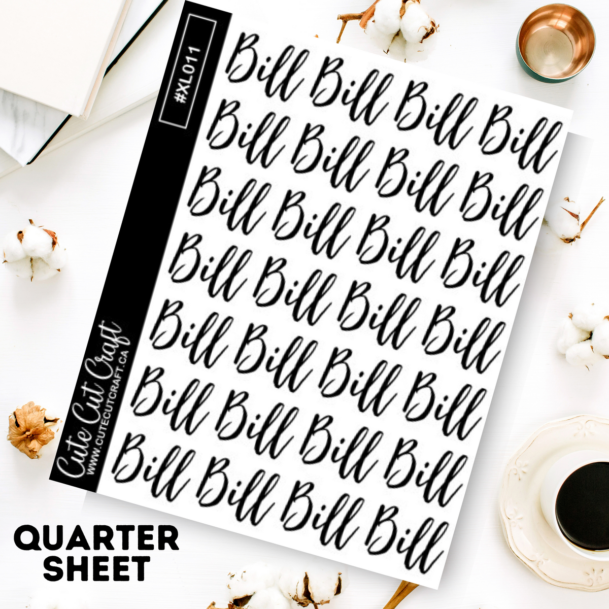 Bill || XL Bounce Scripts