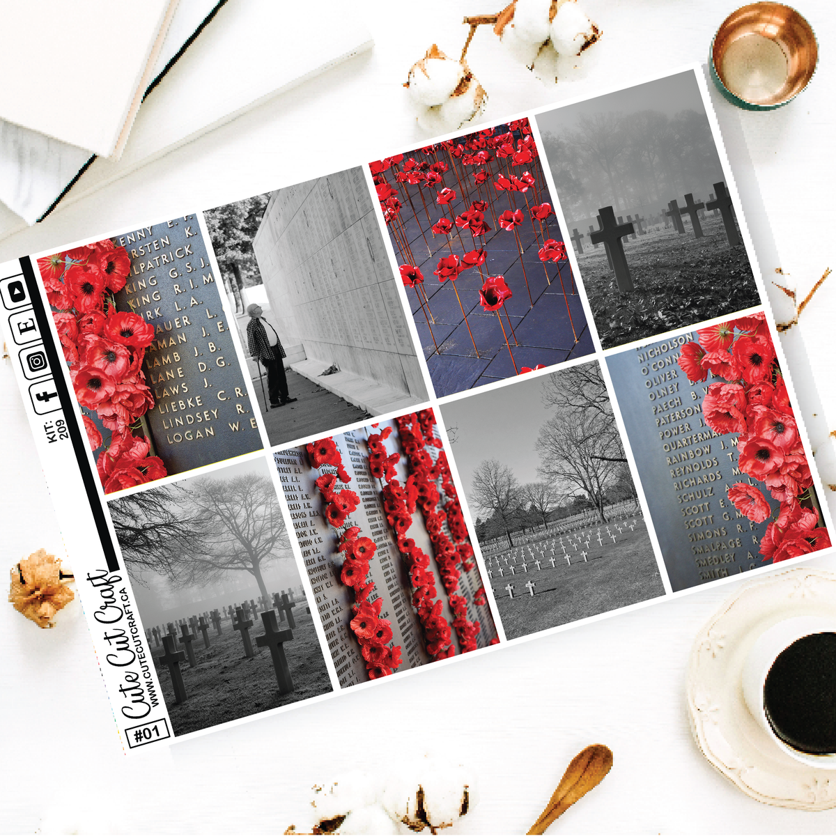 Lest We Forget #209 || EC/HP Full Boxes