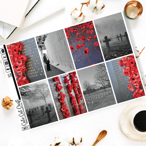 Lest We Forget #209 || EC/HP Full Boxes