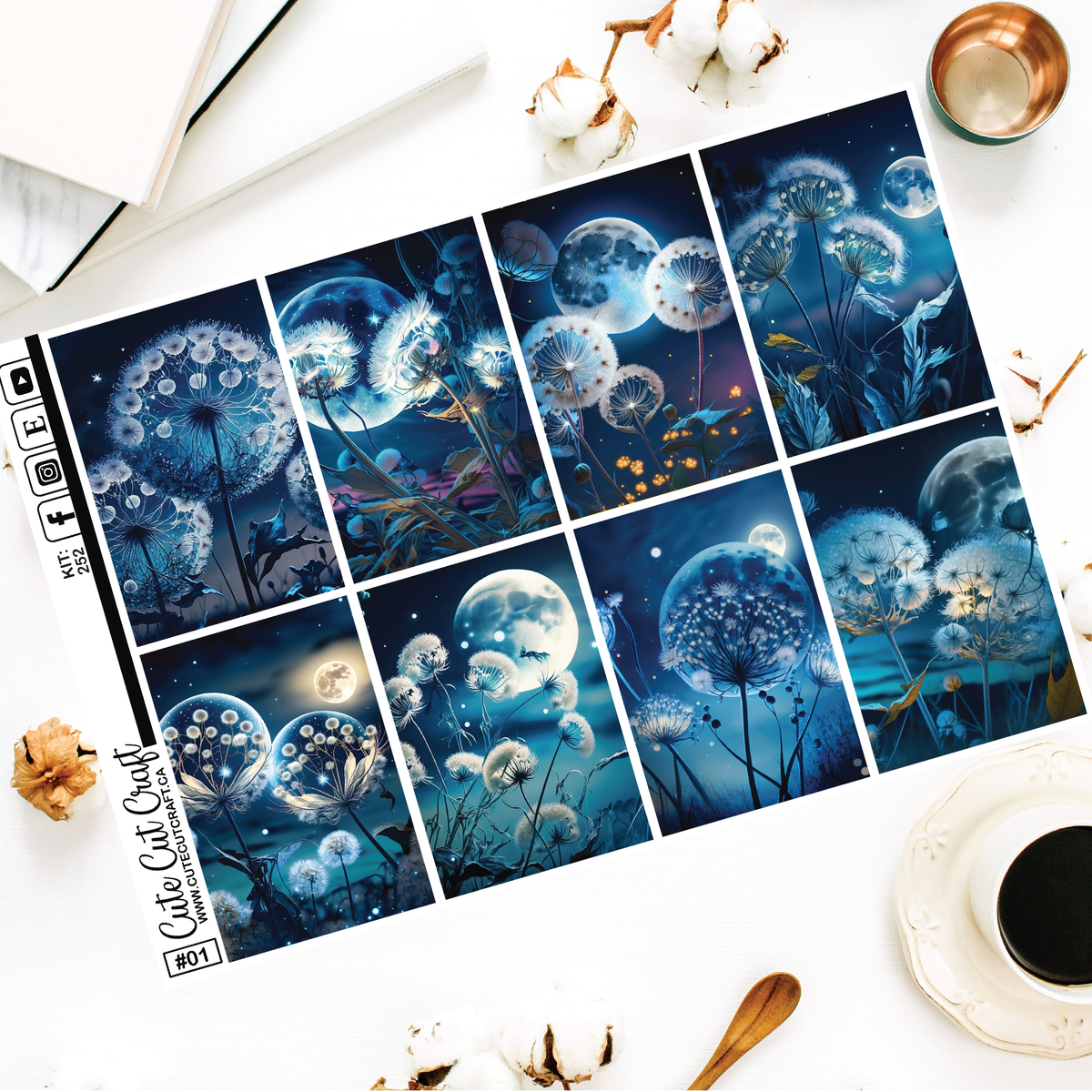 Moonlight Dandy #252 || EC/HP Full Boxes