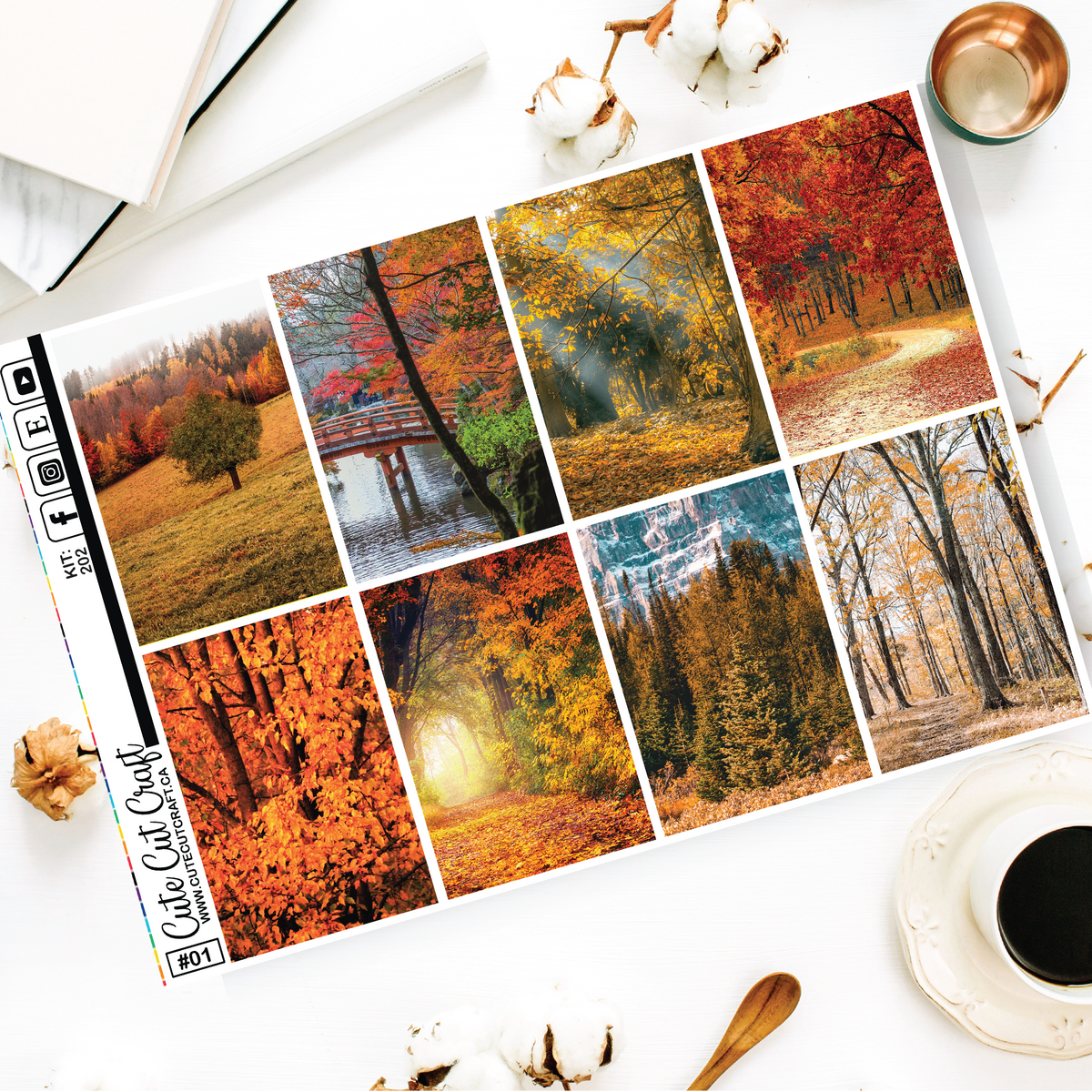 Majestic Fall #202 || EC/HP Full Boxes