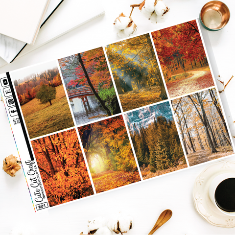 Majestic Fall #202 || EC/HP Full Boxes