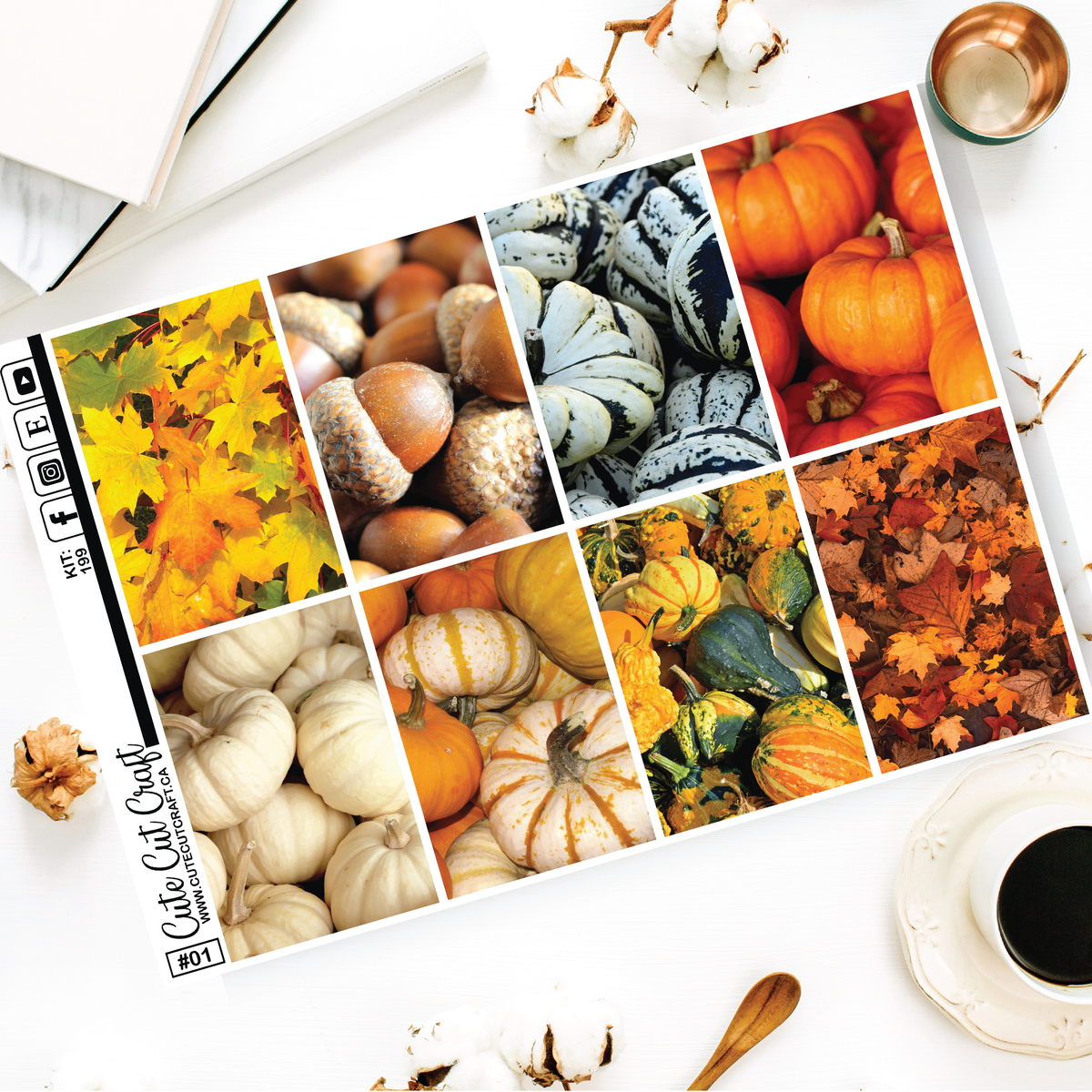 Fall Into Fall #199 || EC/HP Full Boxes