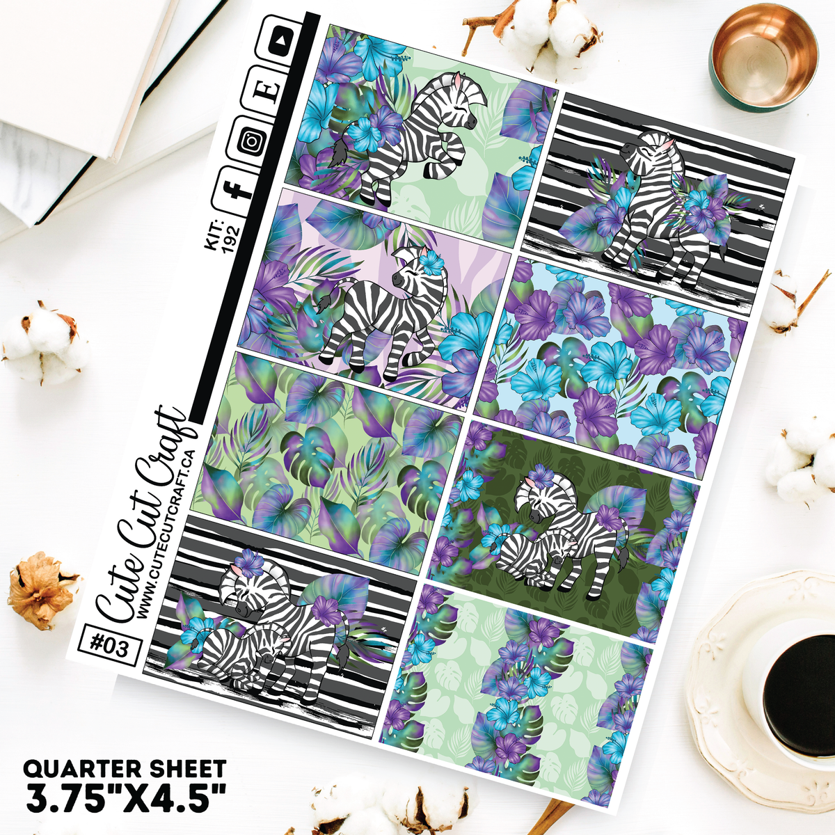 Zebra #192 || Short Boxes