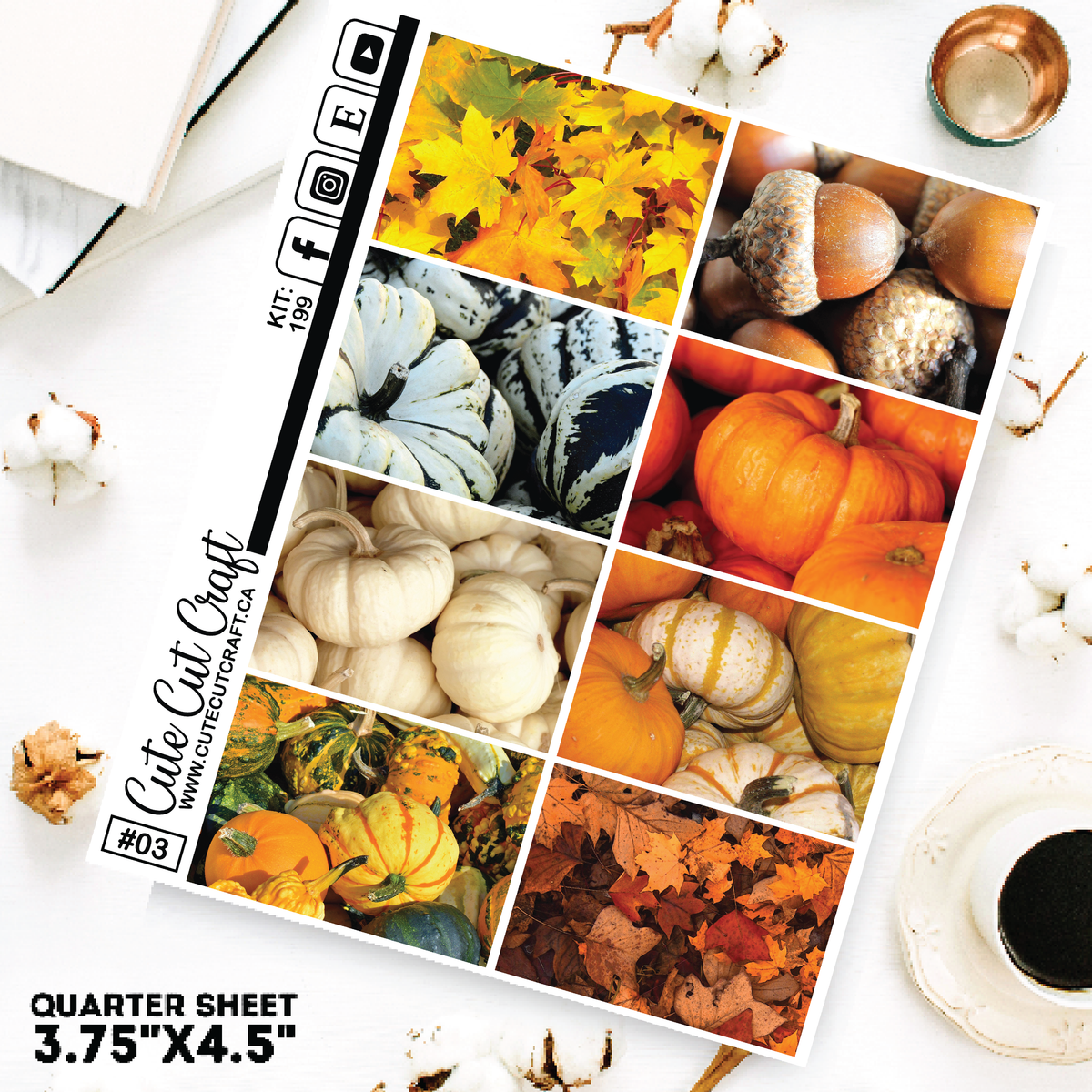 Fall Into Fall #199 || Short Boxes