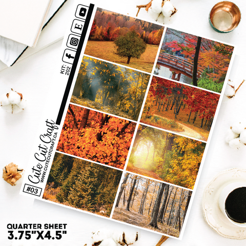 Majestic Fall #202 || Short Boxes